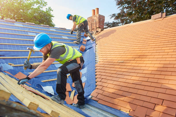 Reliable Stepping Stone, CO Roofing services Solutions